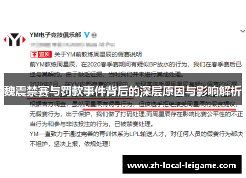 魏震禁赛与罚款事件背后的深层原因与影响解析